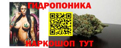 МДПВ Краснознаменск