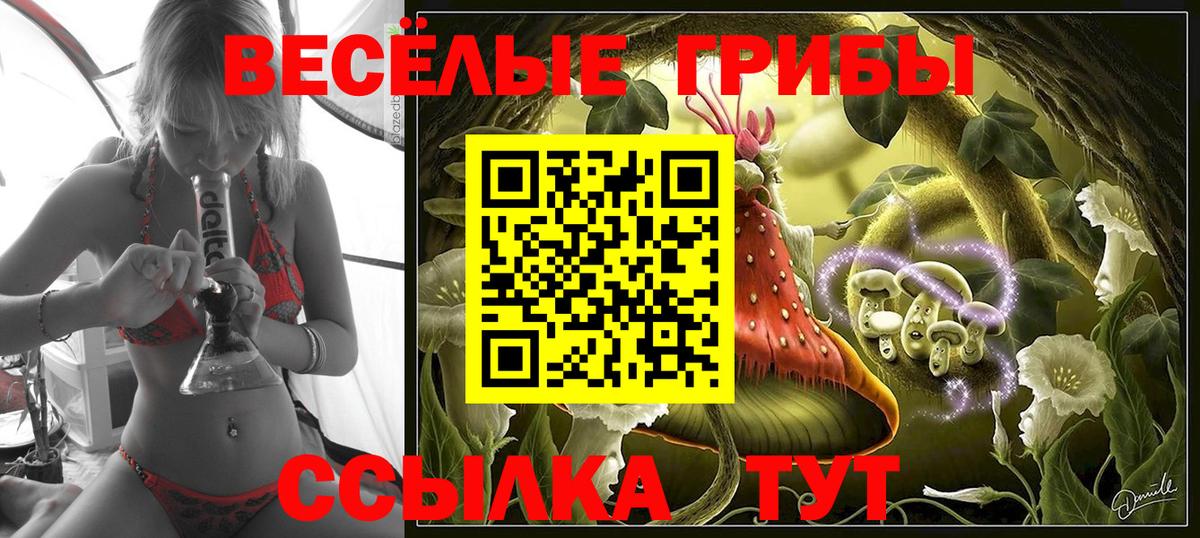Галлюциногенные грибы MAGIC MUSHROOMS Чернушка