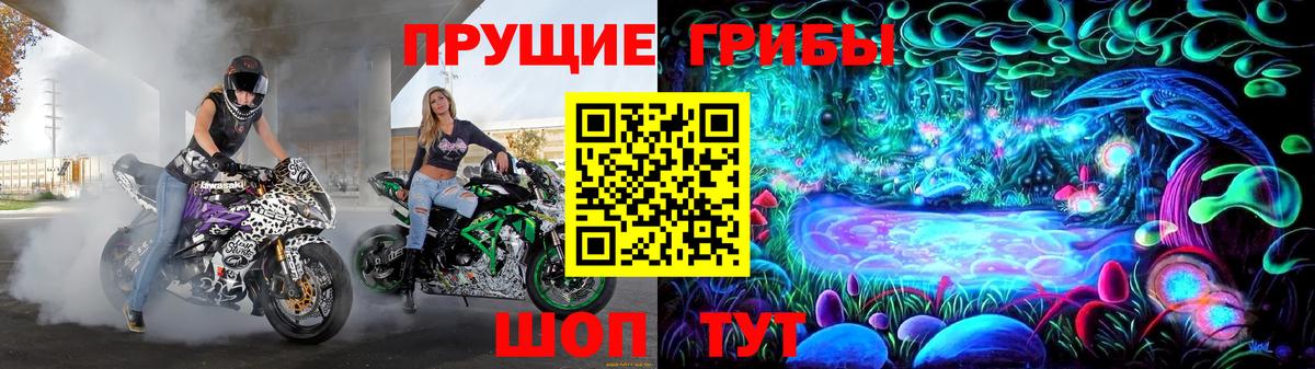 цены наркотик  Псилоцибиновые грибы мицелий  Вход с VPN  Галлюциногенные грибы Psilocybine cubensis  Чернушка 